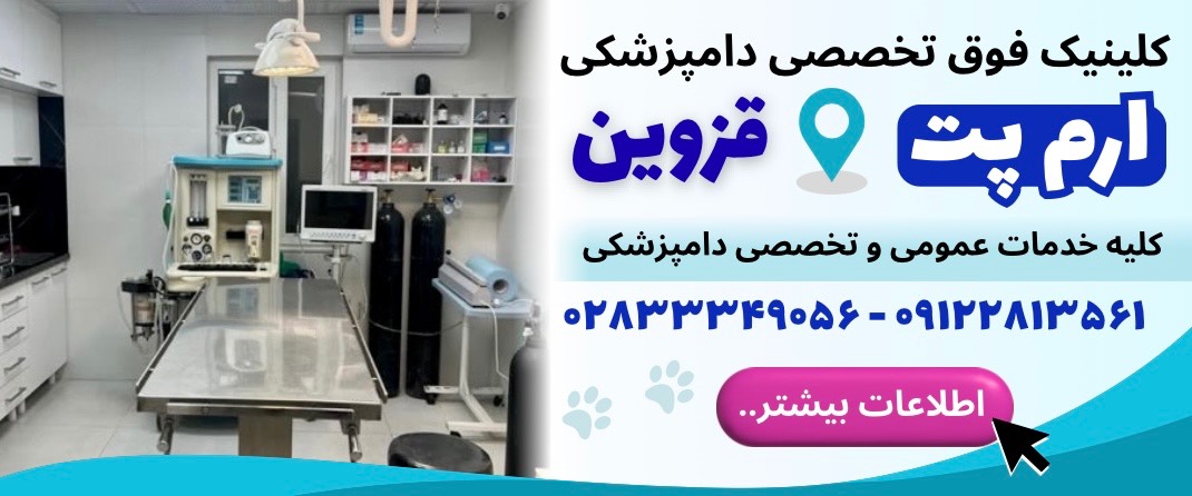 کلینیک فوق تخصصی جراحی و درمان حیوانات خانگی ارم پت در قزوینی