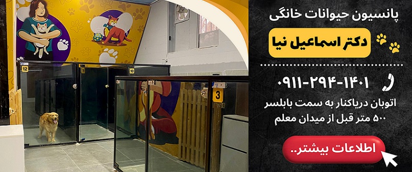 لیست پانسیون حیوانات مازندران، پانسیون حیوانات دکتر اسماعیل نیا