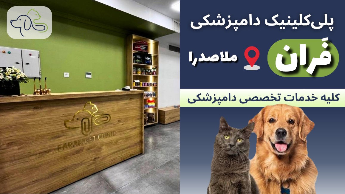 کلینیک دامپزشکی فران در ملاصدرا