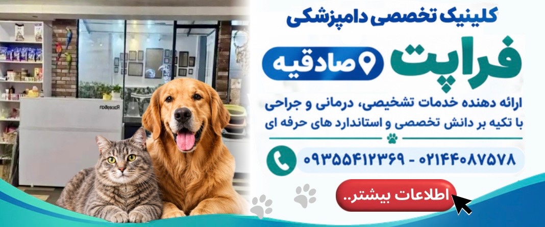 کلینیک دامپزشکی فراپت در صادقیه