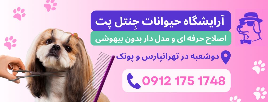 آرایشگاه حیوانات خانگی جنتل پت