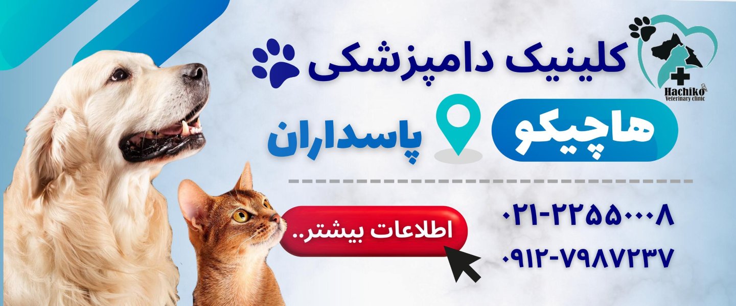 کلینیک دامپزشکی هاچیکو در منطقه پاسداران
