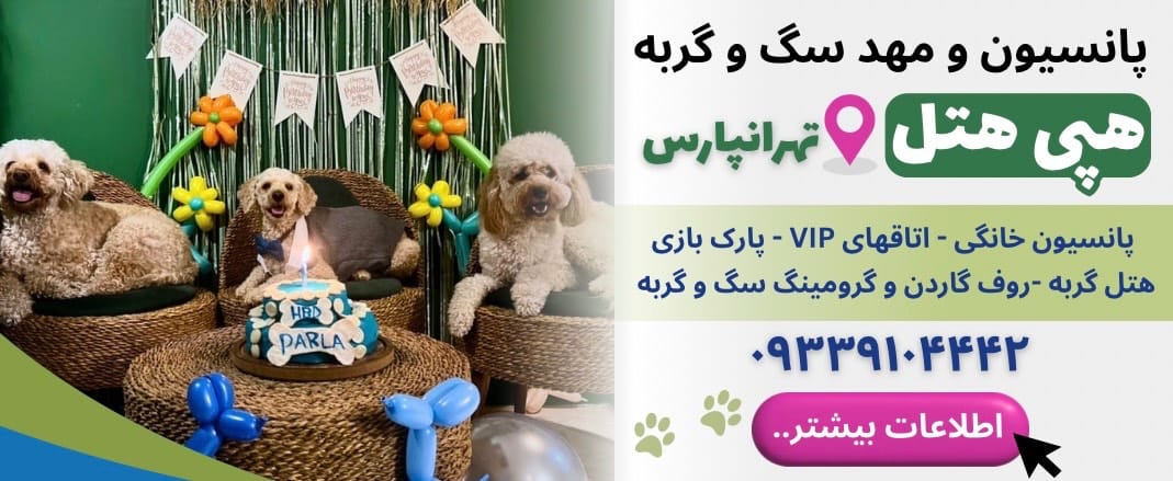 پانسیون خانگی سگ و گربه هپی هتل در تهرانپارس