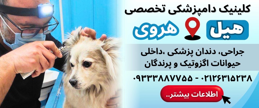 کلینیک دامپزشکی هیل در هروی