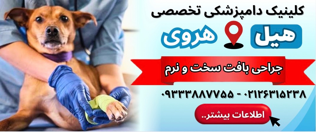 کلینیک دامپزشکی هیل در هروی