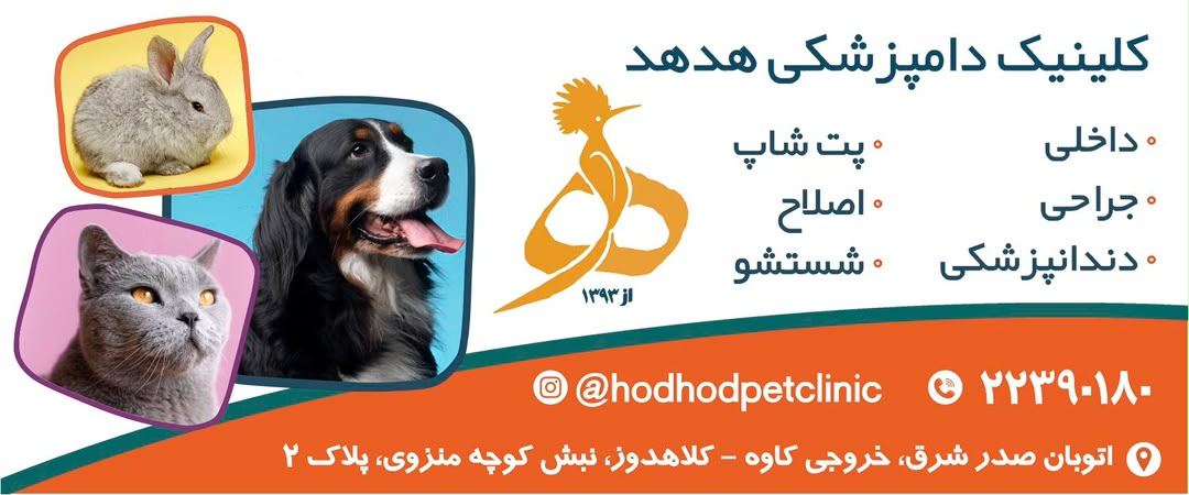 کلینیک دامپزشکی هدهد در بلوار کاوه