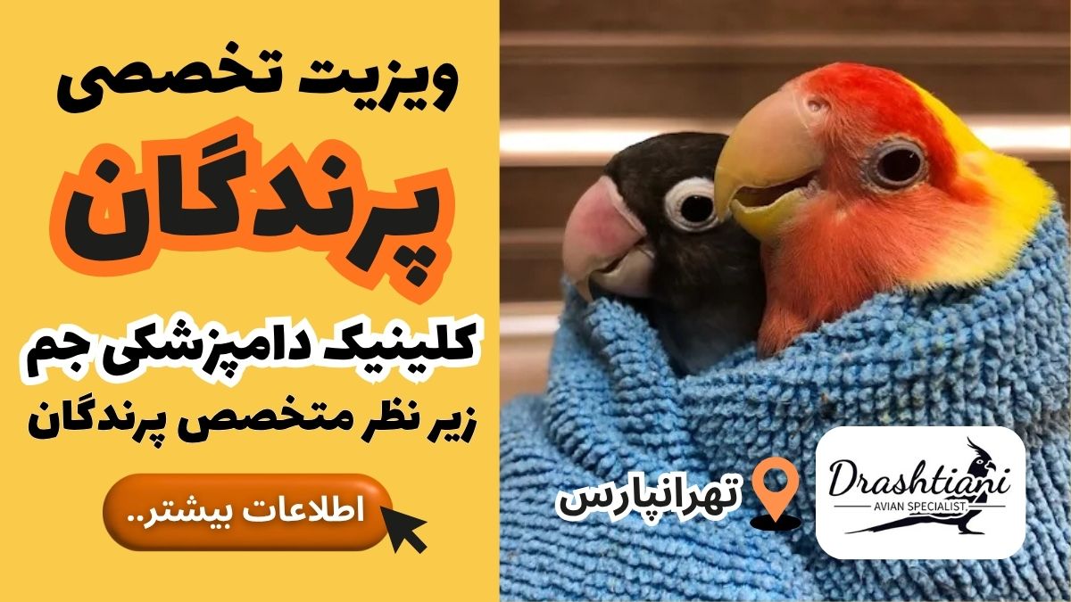 بخش تخصصی پرندگان کلینیک دامپزشکی جم