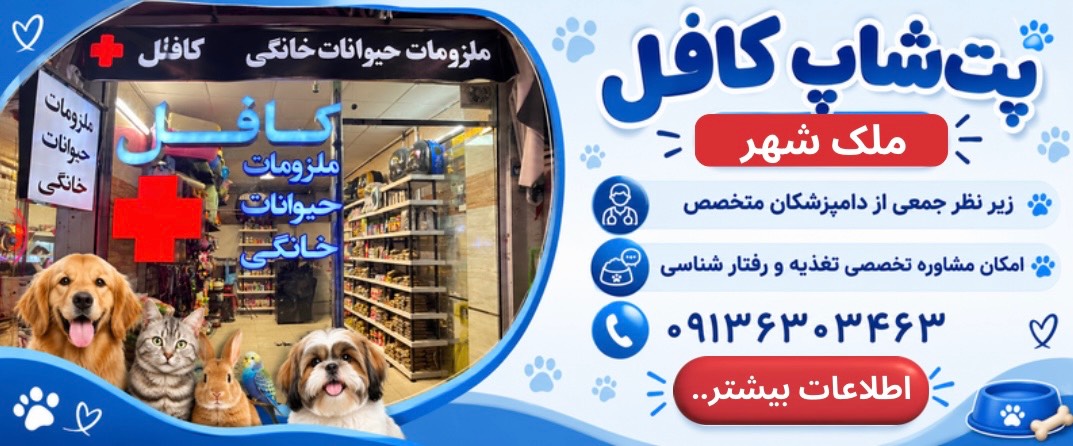 پت شاپ کافل ملک شهر در اصفهان