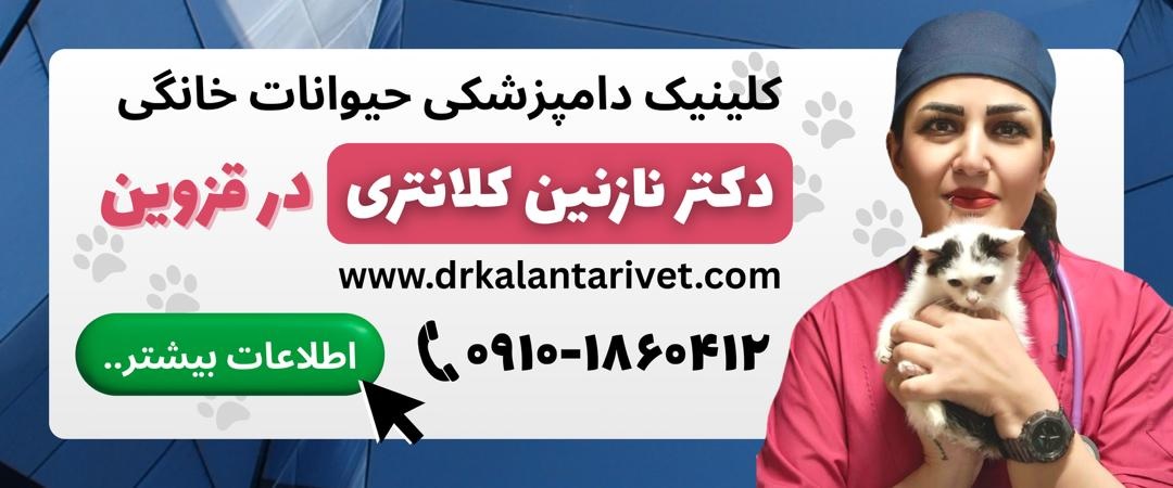 لیست دامپزشکیهای قزوین، دامپزشکی دکتر نازنین کلانتری