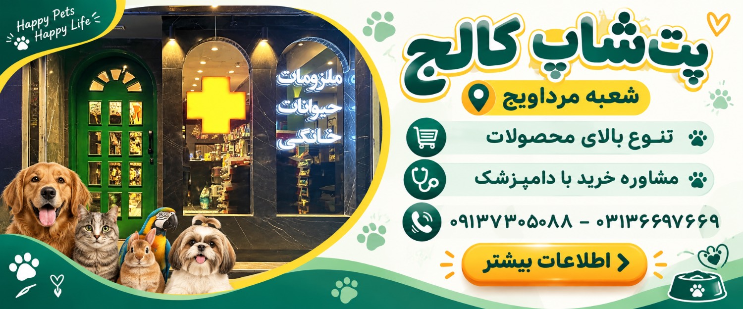 پت شاپ کالج (شعبه مرداویج)