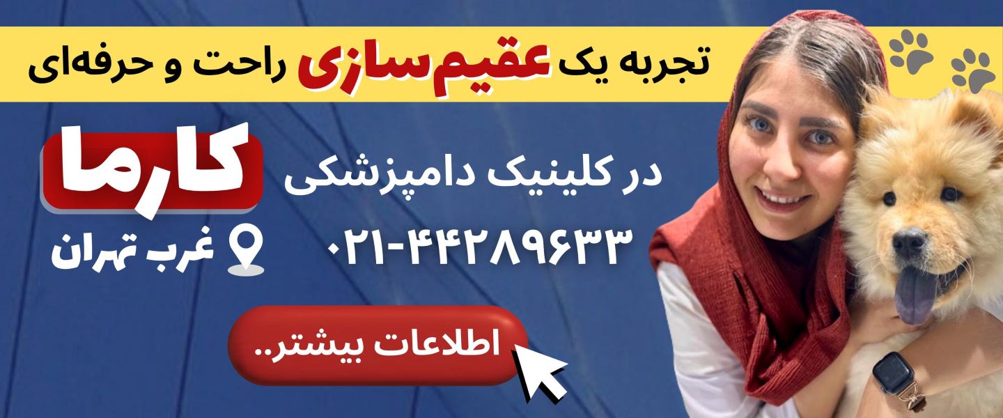 کلینیک دامپزشکی کارما