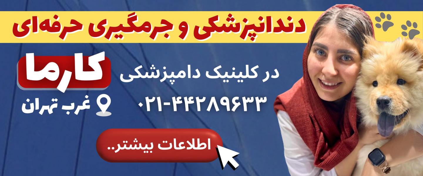 کلینیک دامپزشکی کارما در مرزداران