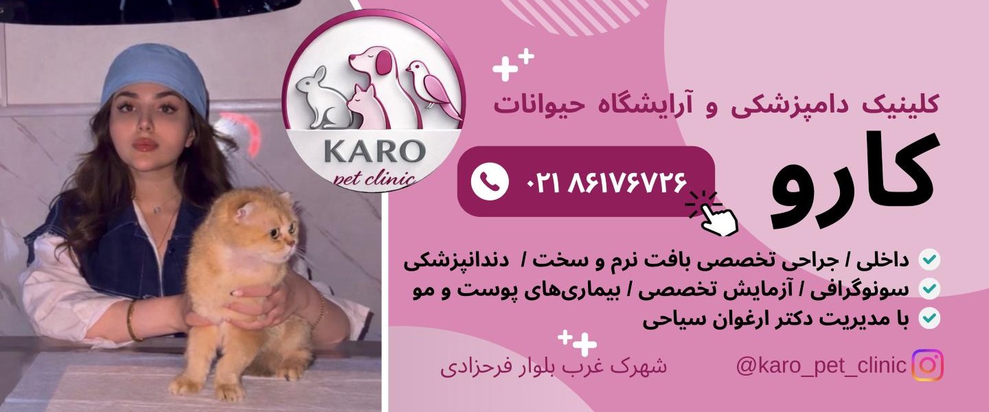 دامپزشکی و آرایشگاه حیوانات کارو در شهرک غرب