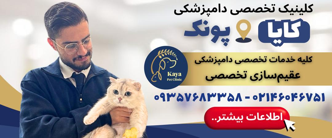 کلینیک دامپزشکی کایا در اشرفی اصفهانی