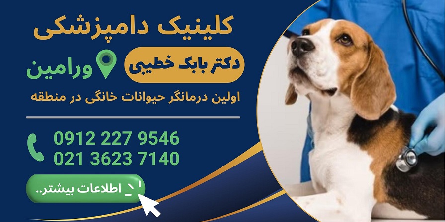 کلینیک دامپزشکی دکتر خطیبی در ورامین