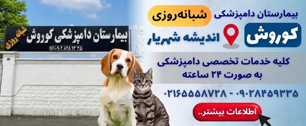 بیمارستان دامپزشکی شبانه روزی کوروش در اندیشه شهریار