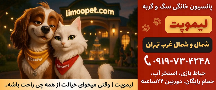 پانسیون حیوانات غرب تهرن، پانسیون لیمو پت