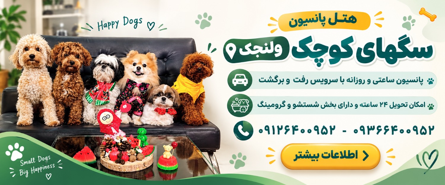 هتل پانسیون سگ های کوچک در ولنجک