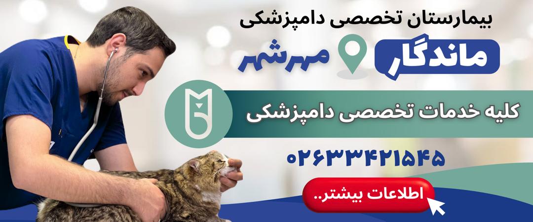 بیمارستان دامپزشکی ماندگار در مهرشهر کرج