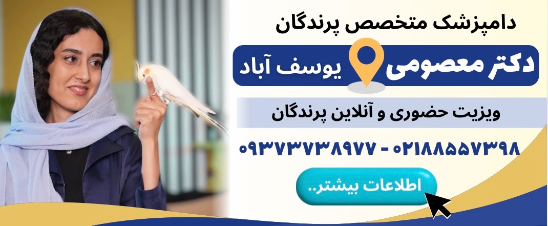 دکتر پگاه معصومی دامپزشک اختصاصی پرندگان در یوسف آباد (ویزیت آنلاین و حضوری)