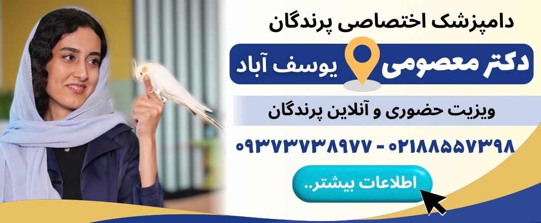 دکتر پگاه معصومی دامپزشک اختصاصی پرندگان در یوسف آباد 