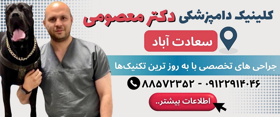 دامپزشکی دکتر معصومی در سعادت آباد
