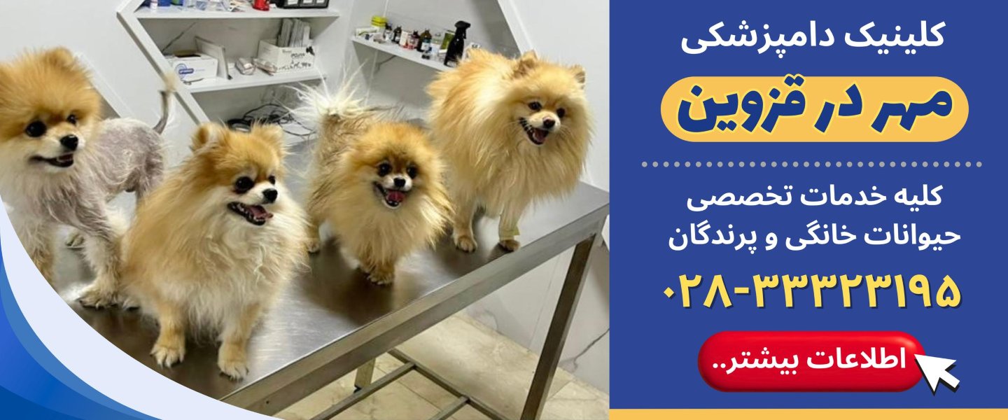 کلینیک دامپزشکی مهر در قزوین