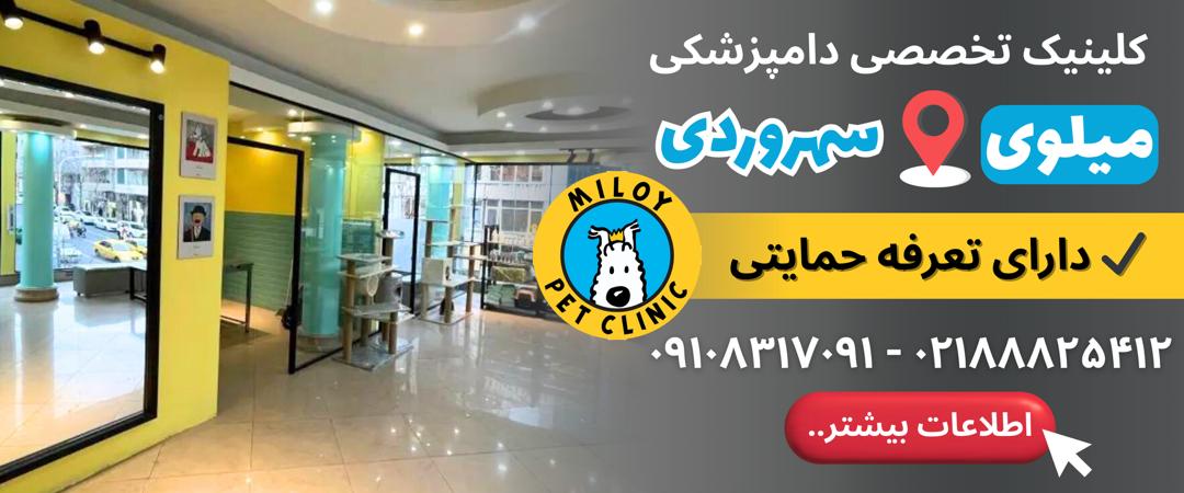 کلینیک دامپزشکی میلوی در سهروردی