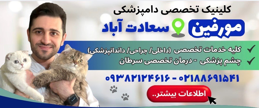کلینیک تخصصی دامپزشکی مورفین در سعادت آباد