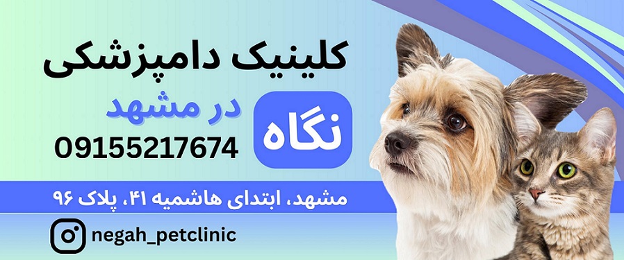 کلسنسک دامپزشکی نگاه در مشهد