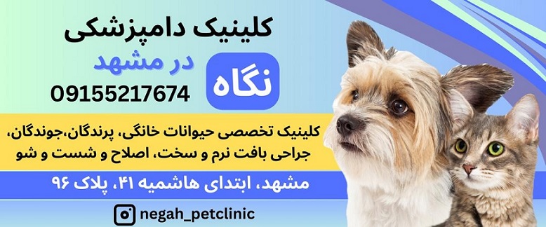 کلینیک دامپزشکی نگاه در مشهد