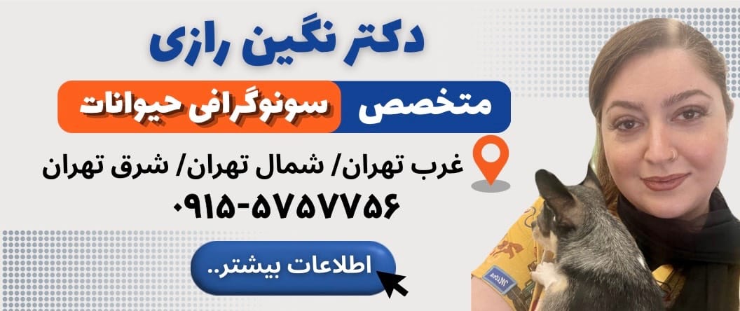 تصویربرداری دامپزشکی دکتر رازی در شمال تهران، غرب تهران و شرق تهران