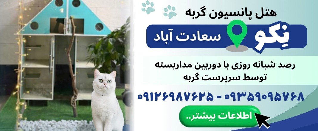 هتل پانسیون گربه نکو در سعادت آباد