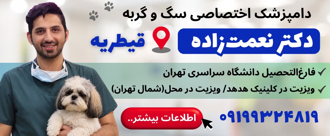 دکتر علیرضا نعمت زاده | دامپزشک اختصاصی سگ و گربه در قیطریه