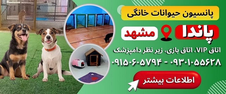 پانسیونهای حیوانات مشهد، پانسیون پاندا مشهد