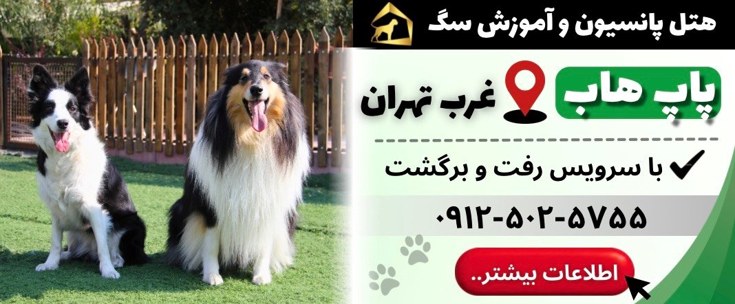پانسیون حیوانات خانگی پاپ هاب
