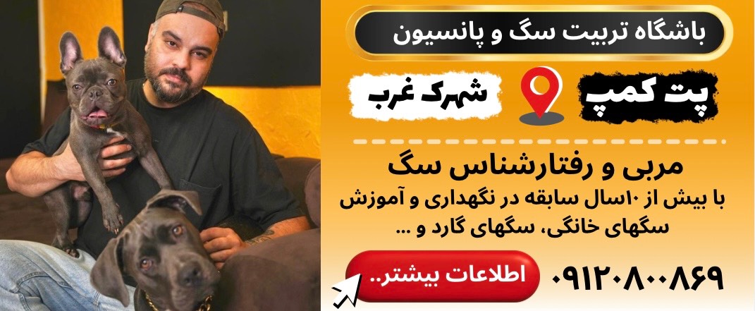 هتل پانسیون و مرکز آموزش سگ پت کمپ در شهرک غرب