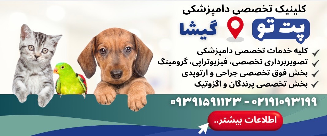کلینیک دامپزشکی تخصصی پت تو در گیشا