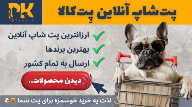 تبلیغات پت لینک