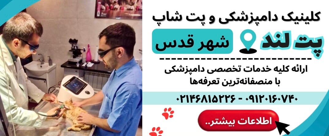 کلینیک دامپزشکی پت لند شهرقدس