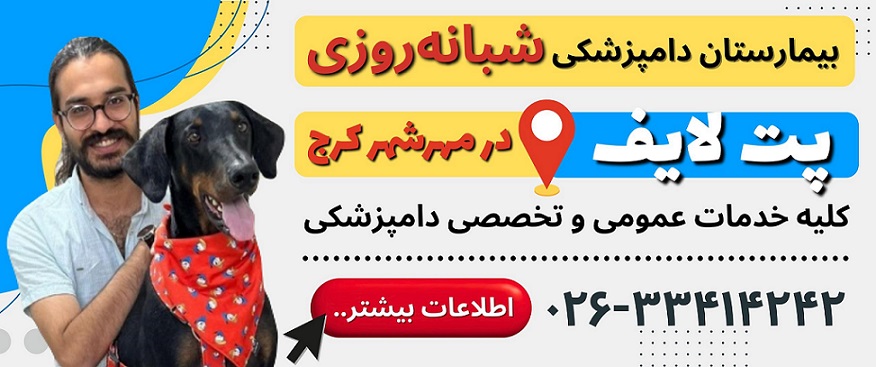 کلینیک دامپزشکی شبانه روزی پت لایف در مهرشهر کرج