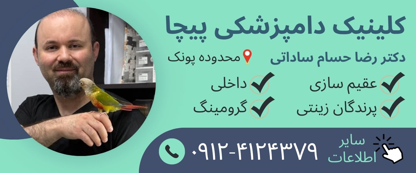 کلینیک دامپزشکی پیچا در اشرفی اصفهانی