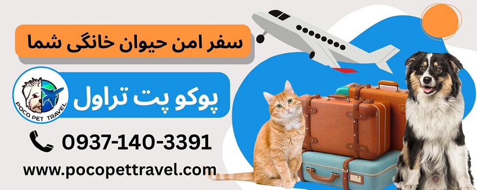 پوکوپت تراول