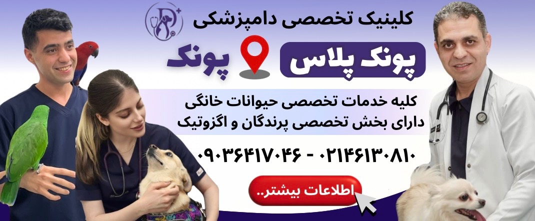 کلینیک دامپزشکی پونک پلاس در پونک