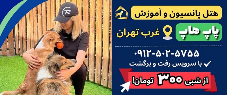 پانسیون حیوانات خانگی پاپ هاب