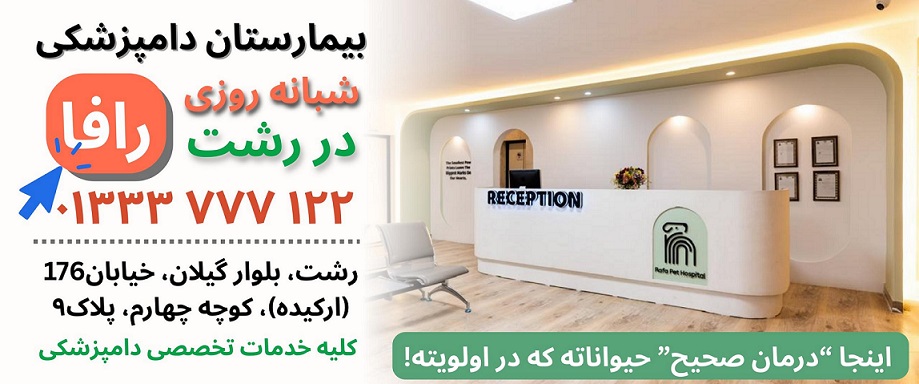 بیمارستان دامپزشکی شبانه روزی رافا در رشت