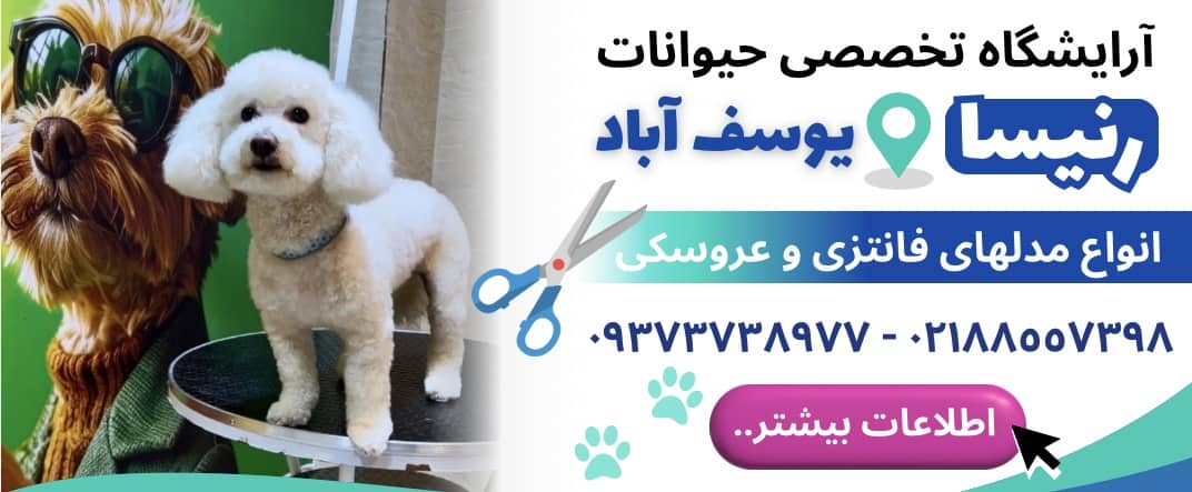 آرایشگاه تخصصی حیوانات خانگی رنیسا