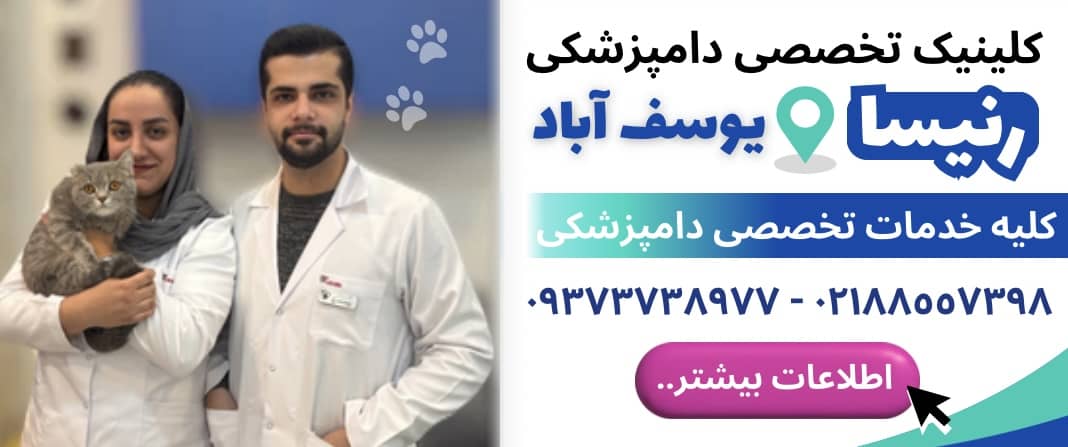 کلینیک تخصصی دامپزشکی رنیسا در یوسف آباد