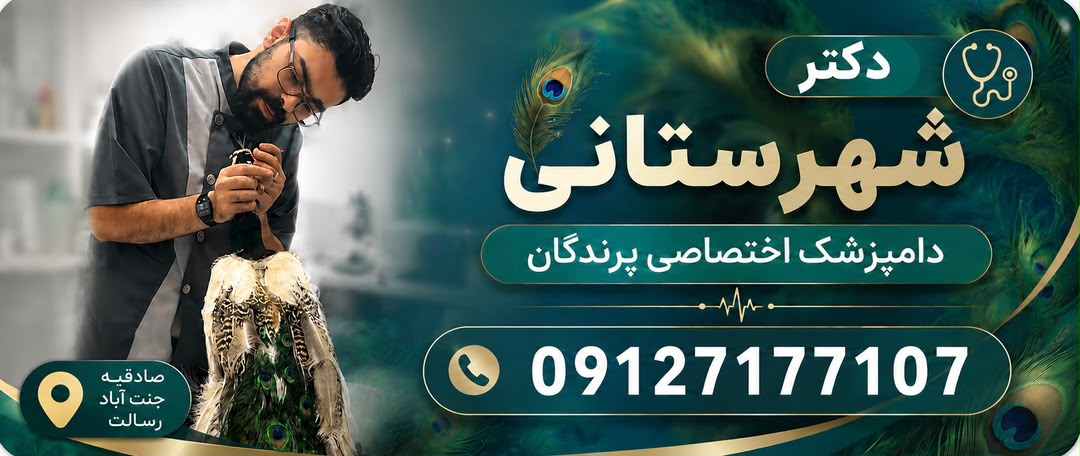 دکتر شهرستانی دامپزشک متخصص پرندگان در غرب تهران