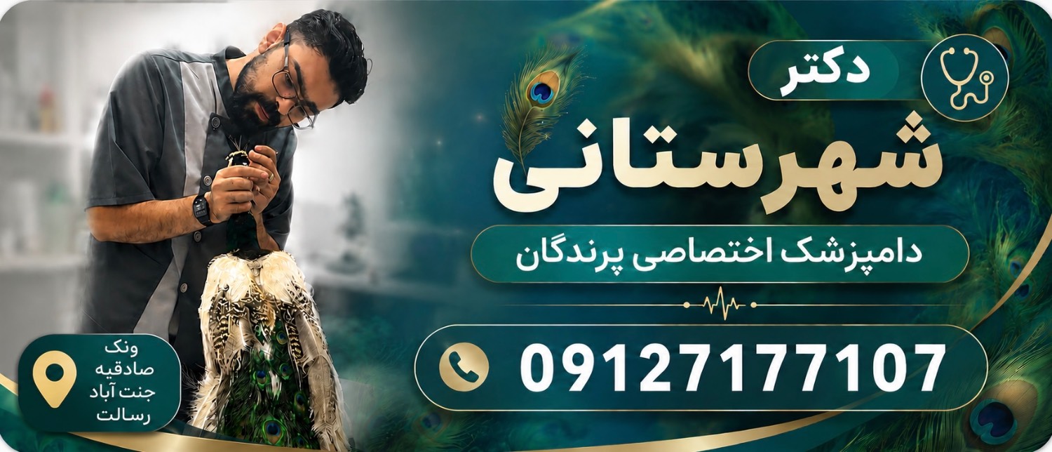 دکتر شهرستانی دامپزشک متخصص پرندگان در غرب تهران